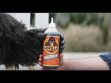 2020 Original Gorilla Glue Commercial